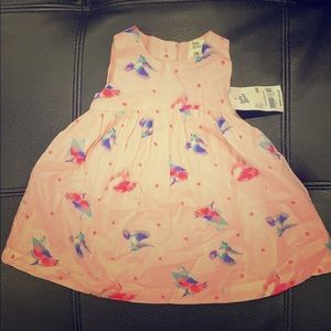 Baby Bigosh baby girl dress. Pink. Size 6 months